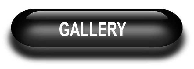 buttongallery